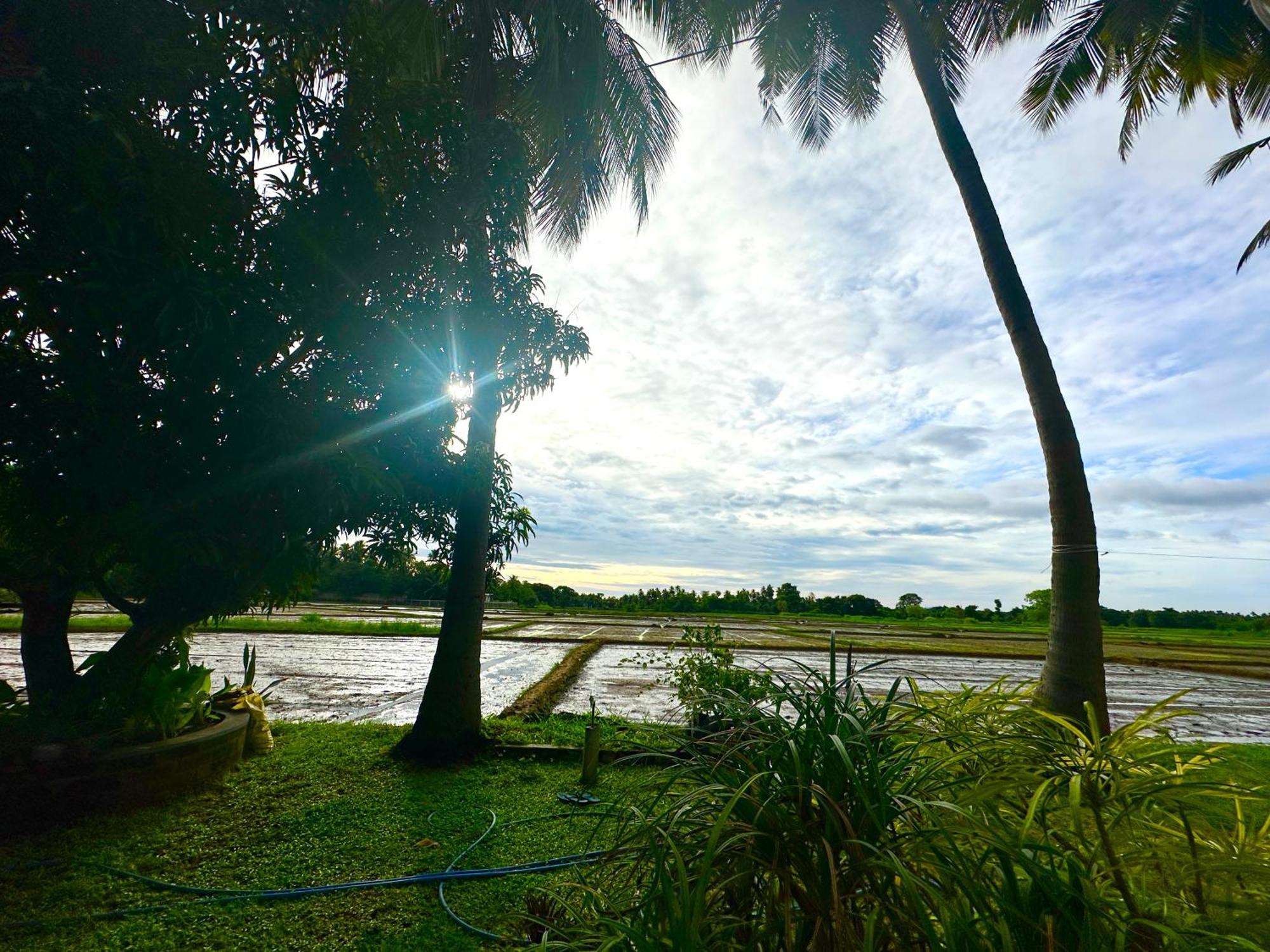 Aroma Polonnaruwa